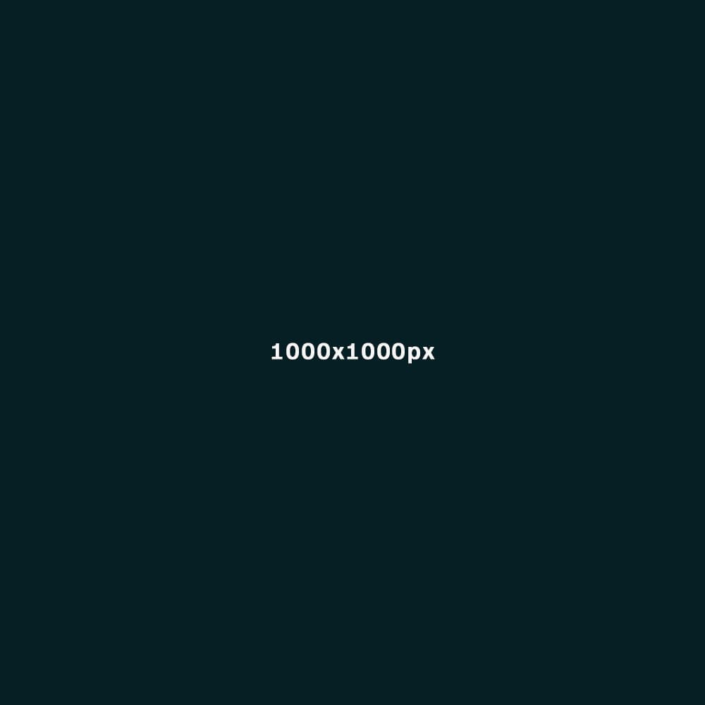 Illustration som visar bildstorleken 1000x1000