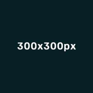 Illustration som visar bildstorleken 300x300